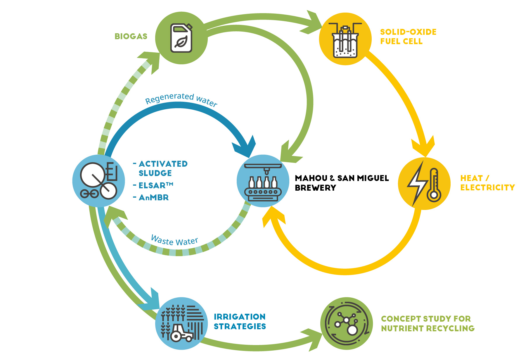 Infographic CS Lleida